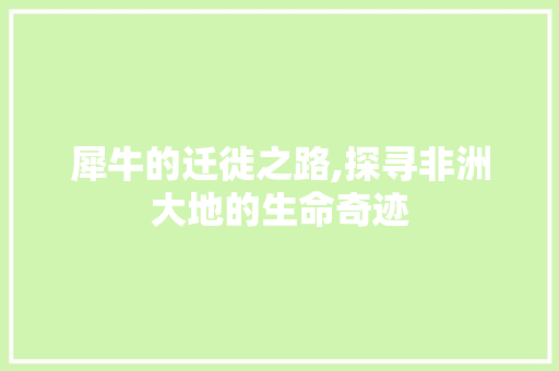 犀牛的迁徙之路,探寻非洲大地的生命奇迹