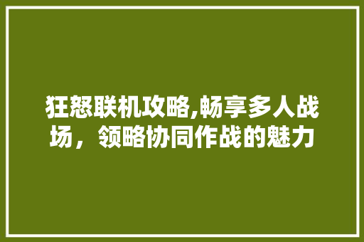 狂怒联机攻略,畅享多人战场，领略协同作战的魅力