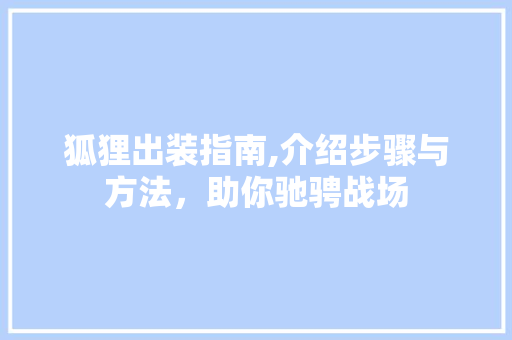 狐狸出装指南,介绍步骤与方法，助你驰骋战场 服务器/数据库
