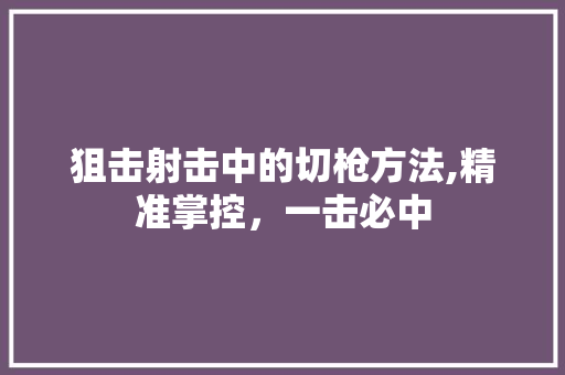 狙击射击中的切枪方法,精准掌控，一击必中