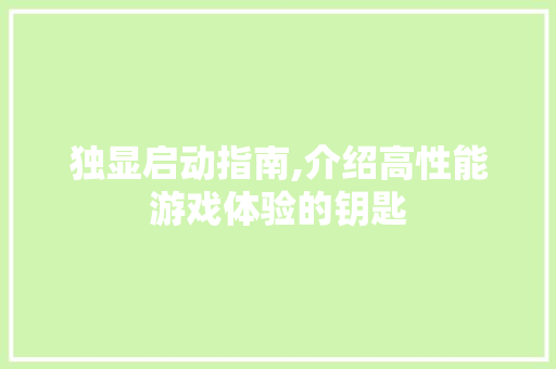 独显启动指南,介绍高性能游戏体验的钥匙