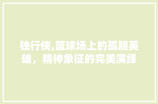 独行侠,篮球场上的孤胆英雄，精神象征的完美演绎 服务器/数据库