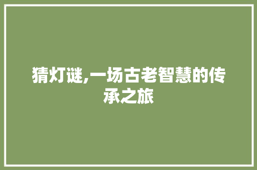 猜灯谜,一场古老智慧的传承之旅 建站教程