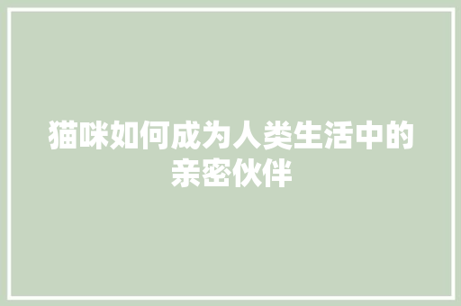 猫咪如何成为人类生活中的亲密伙伴