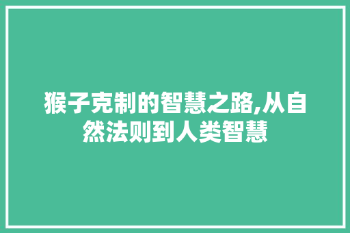猴子克制的智慧之路,从自然法则到人类智慧