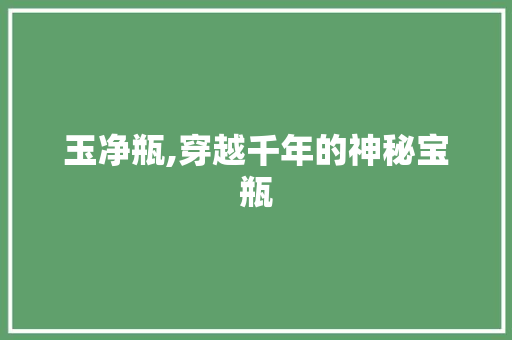 玉净瓶,穿越千年的神秘宝瓶