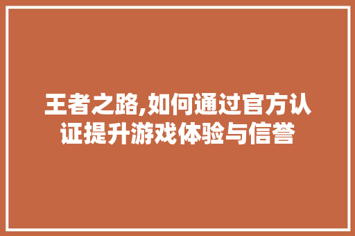 王者之路,如何通过官方认证提升游戏体验与信誉 服务器/数据库