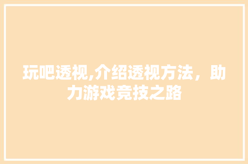 玩吧透视,介绍透视方法，助力游戏竞技之路 SEO教程