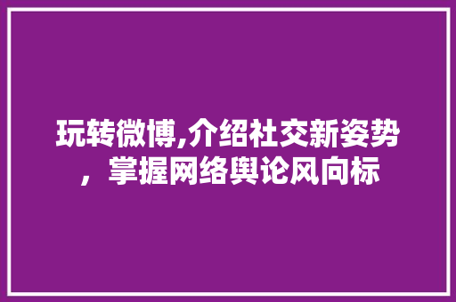 玩转微博,介绍社交新姿势，掌握网络舆论风向标 建站教程