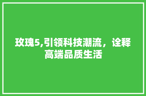 玫瑰5,引领科技潮流，诠释高端品质生活 Web前端