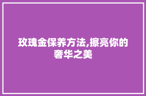 玫瑰金保养方法,擦亮你的奢华之美 SEO教程