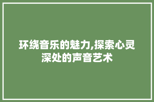 环绕音乐的魅力,探索心灵深处的声音艺术