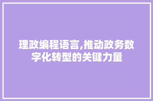理政编程语言,推动政务数字化转型的关键力量