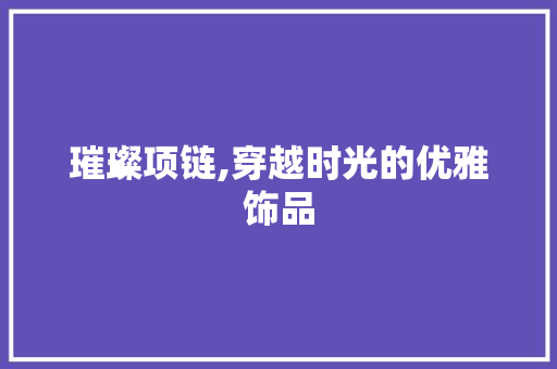 璀璨项链,穿越时光的优雅饰品