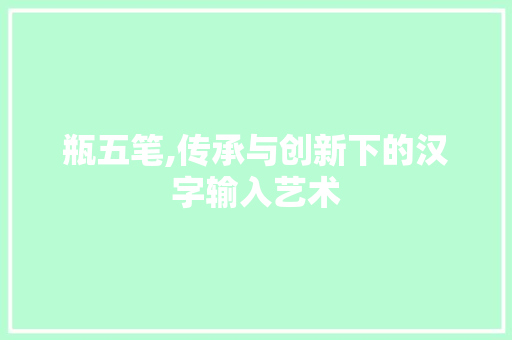 瓶五笔,传承与创新下的汉字输入艺术 SEO教程