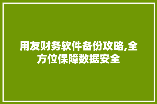 用友财务软件备份攻略,全方位保障数据安全