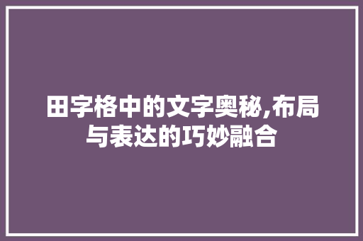 田字格中的文字奥秘,布局与表达的巧妙融合