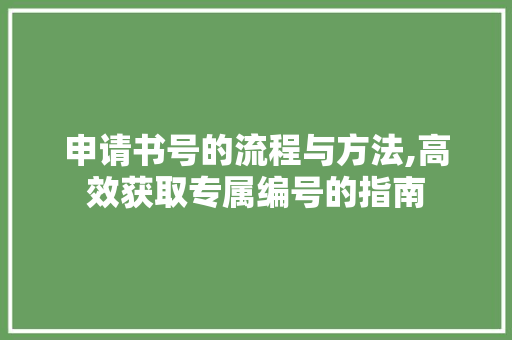 申请书号的流程与方法,高效获取专属编号的指南
