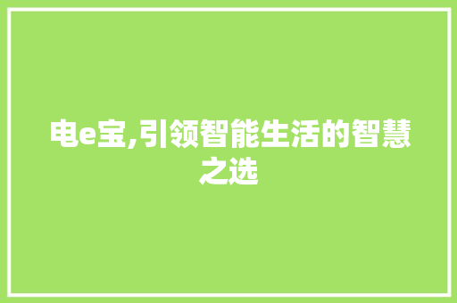 电e宝,引领智能生活的智慧之选