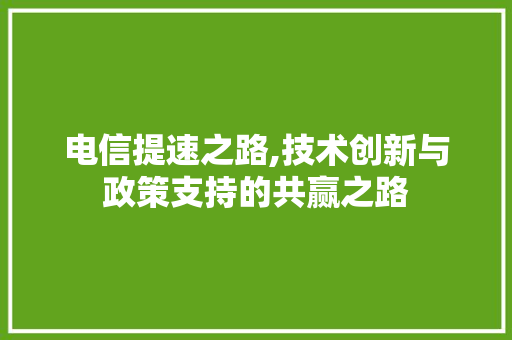 电信提速之路,技术创新与政策支持的共赢之路