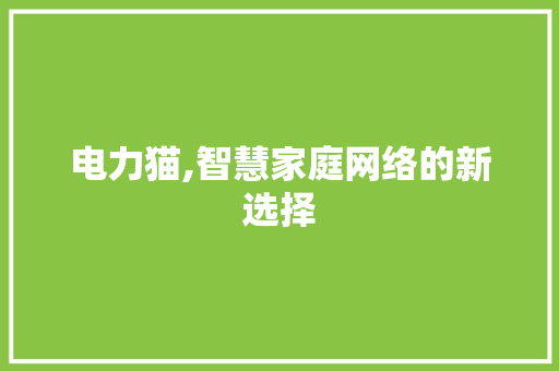 电力猫,智慧家庭网络的新选择 友链在线