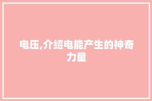 电压,介绍电能产生的神奇力量 WordPress教程