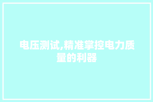 电压测试,精准掌控电力质量的利器 WordPress教程