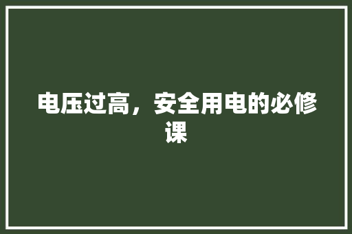 电压过高，安全用电的必修课 WordPress教程