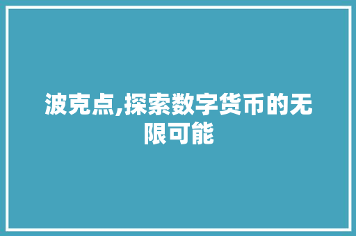 波克点,探索数字货币的无限可能 WordPress教程