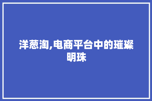 洋葱淘,电商平台中的璀璨明珠 洋葱淘,电商平台中的璀璨明珠