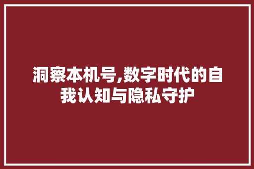洞察本机号,数字时代的自我认知与隐私守护