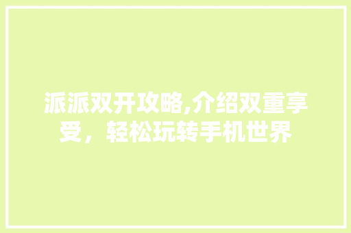 派派双开攻略,介绍双重享受，轻松玩转手机世界