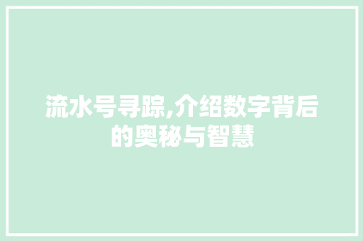 流水号寻踪,介绍数字背后的奥秘与智慧