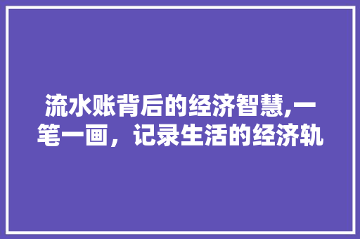 流水账背后的经济智慧,一笔一画，记录生活的经济轨迹