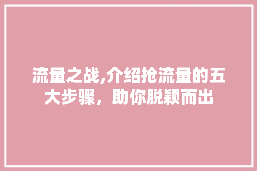 流量之战,介绍抢流量的五大步骤，助你脱颖而出