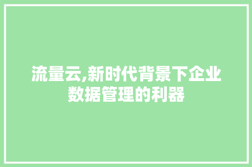 流量云,新时代背景下企业数据管理的利器