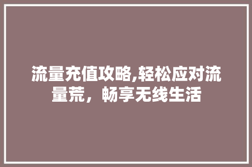 流量充值攻略,轻松应对流量荒，畅享无线生活