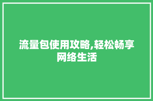 流量包使用攻略,轻松畅享网络生活