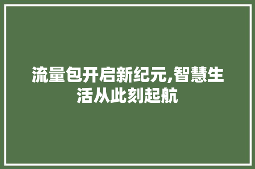 流量包开启新纪元,智慧生活从此刻起航