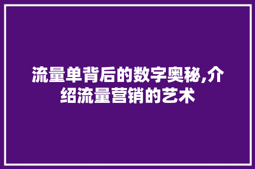 流量单背后的数字奥秘,介绍流量营销的艺术 Web前端