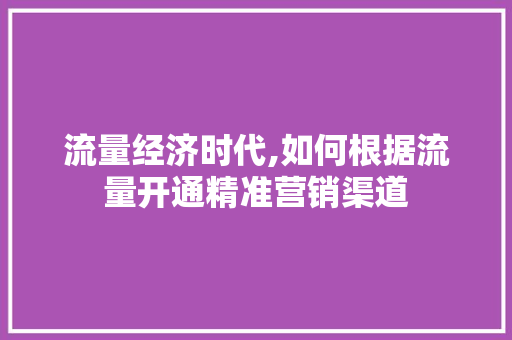 流量经济时代,如何根据流量开通精准营销渠道 WordPress教程