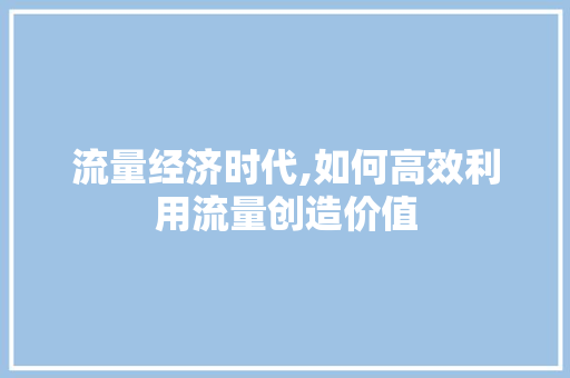 流量经济时代,如何高效利用流量创造价值 WordPress教程