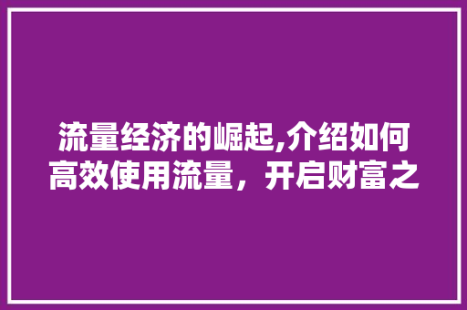 流量经济的崛起,介绍如何高效使用流量，开启财富之门 服务器/数据库