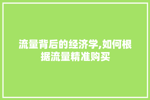 流量背后的经济学,如何根据流量精准购买