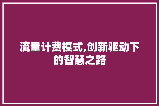 流量计费模式,创新驱动下的智慧之路