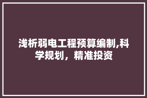 浅析弱电工程预算编制,科学规划，精准投资