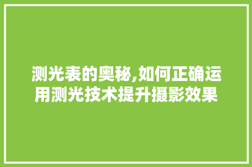 测光表的奥秘,如何正确运用测光技术提升摄影效果 SEO教程