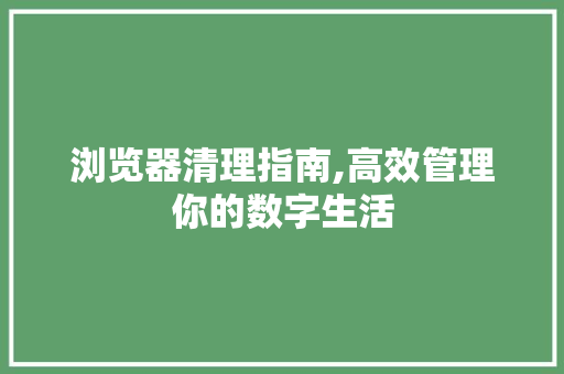 浏览器清理指南,高效管理你的数字生活 SEO教程