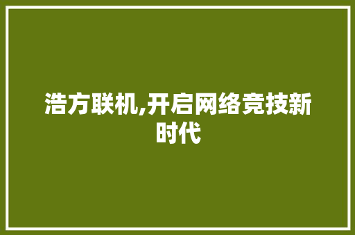 浩方联机,开启网络竞技新时代 SEO教程