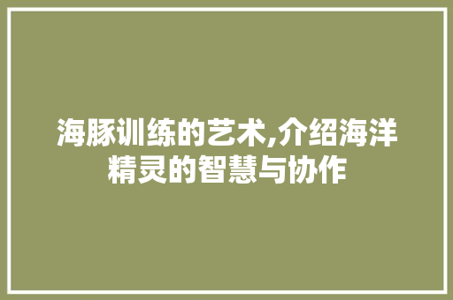 海豚训练的艺术,介绍海洋精灵的智慧与协作